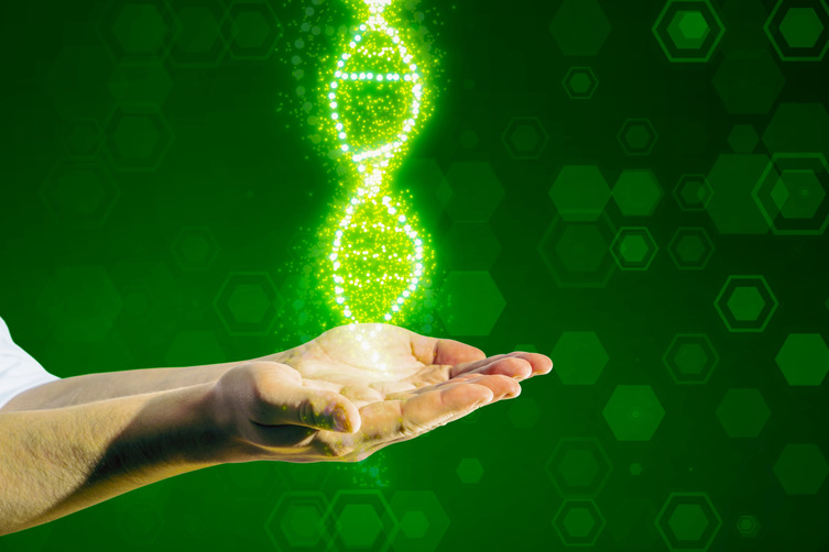 shutterstock_2418663529-resized-resized